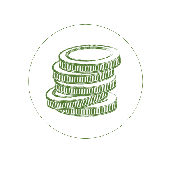 demoussage toiture façade économique