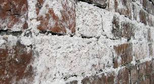 Efflorescence (taches blanchâtres dues à l’humidité)