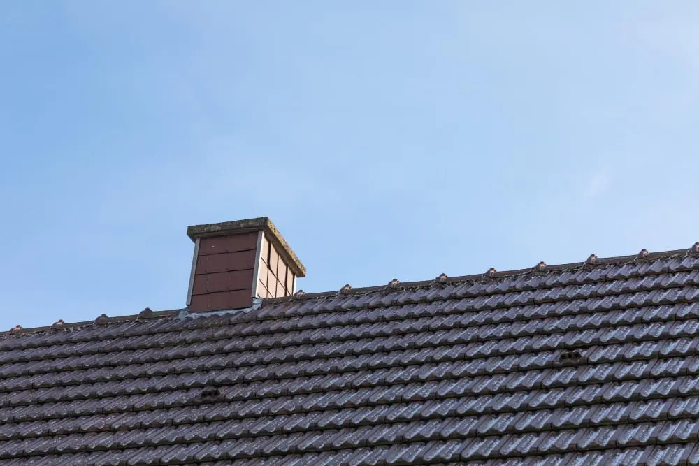 Mousse, lichens, pollution… entretenir vos extérieurs dans le Loiret (45)