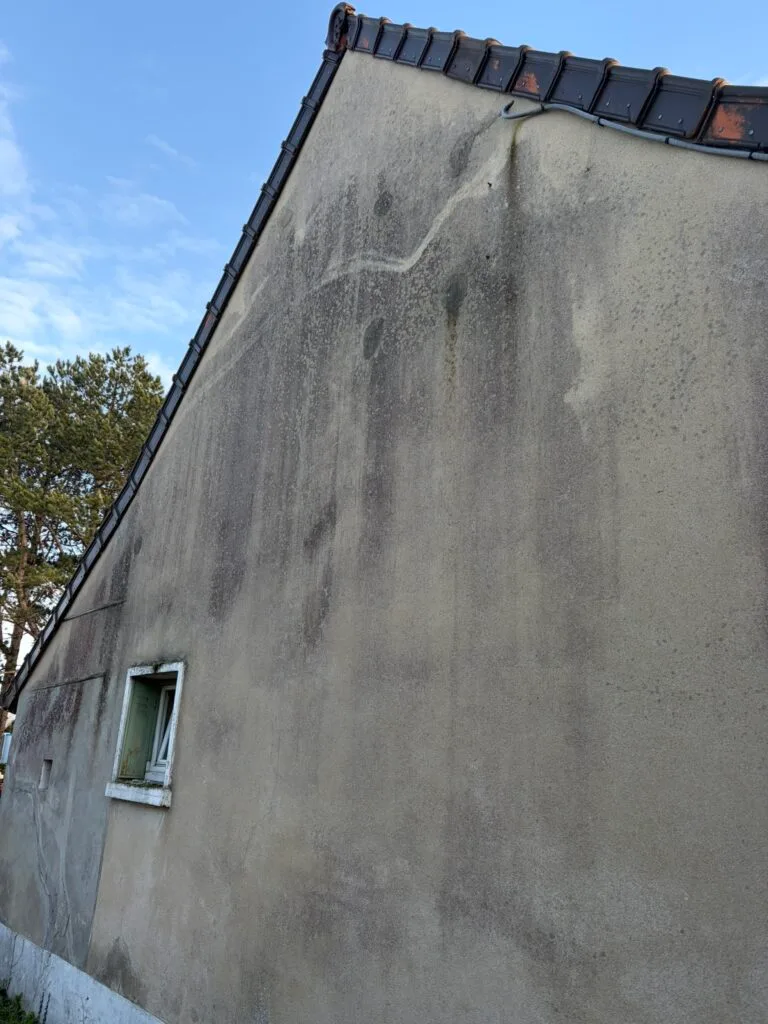 Nettoyer les taches noires sur un enduit ou un crépi