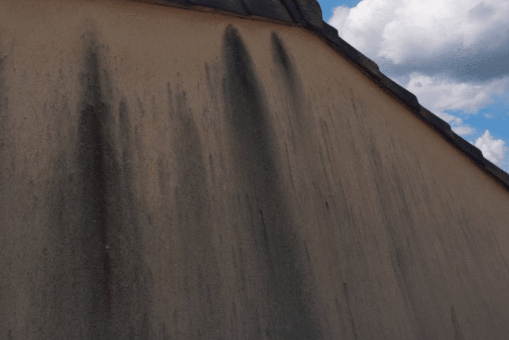 nettoyer les taches noires sur votre façade