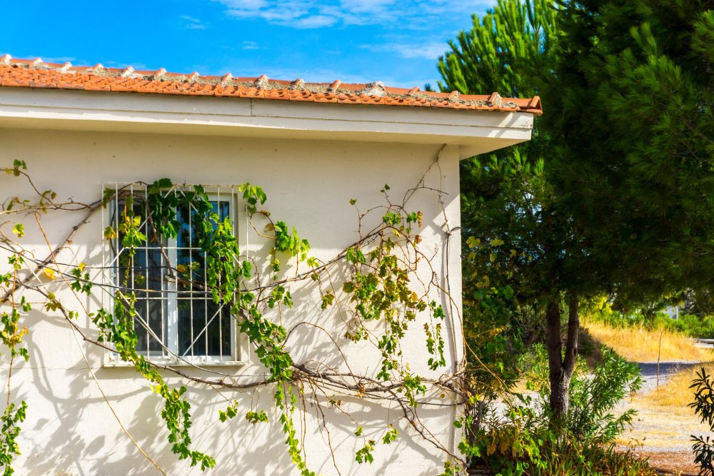 Améliorez votre maison avec une rénovation de façade à La Ville-aux-Clercs