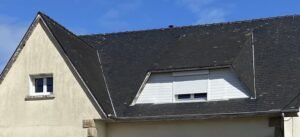 Comment enlever efficacement la mousse sur votre toiture à Dammarie-sur-Loing