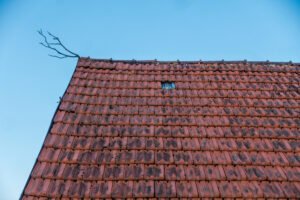 Découvrez le Traitement Toiture Naturel Idéal pour une Maison Éco-Responsable
