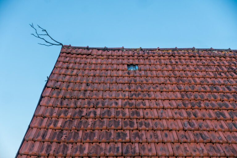 Découvrez le Traitement Toiture Naturel Idéal pour une Maison Éco-Responsable