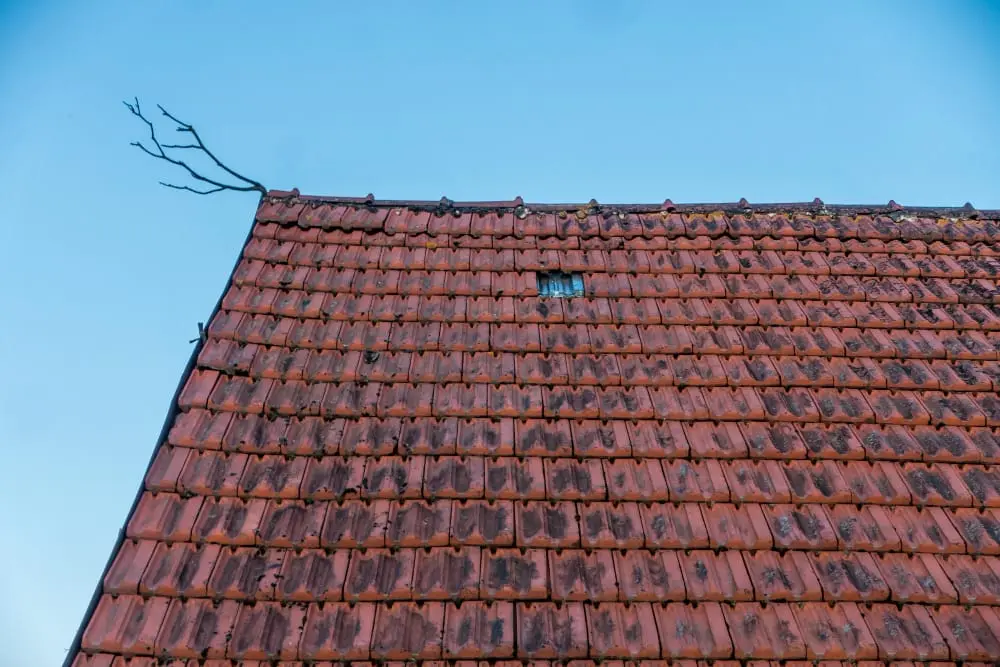 Découvrez le Traitement Toiture Naturel Idéal pour une Maison Éco-Responsable