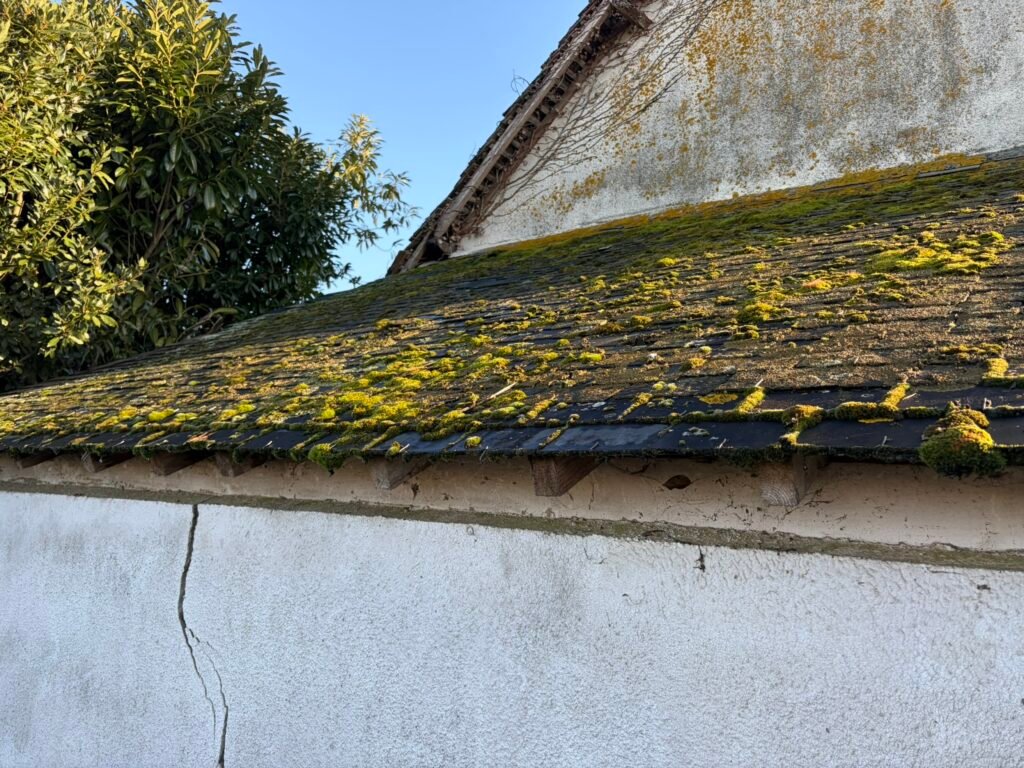 Démoussage à Loué 72