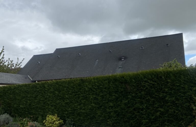 Démoussage de toit à Villerable Retrouver un Toit Propre et Durable