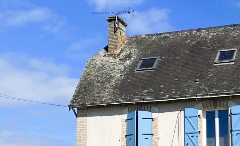 Guide Ultime pour Enlever la Mousse sur Toiture à Pressigny-les-Pins