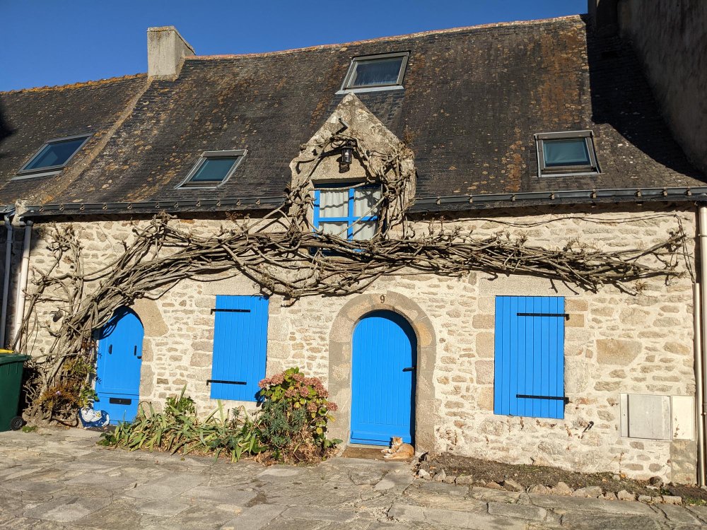 Gy-les-Nonains Astuces pour une Façade Propre et Impeccable