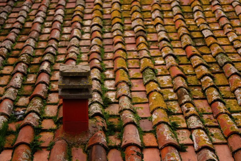 Nettoyage Écologique Toiture Techniques Naturelles pour une Maison Éclatante