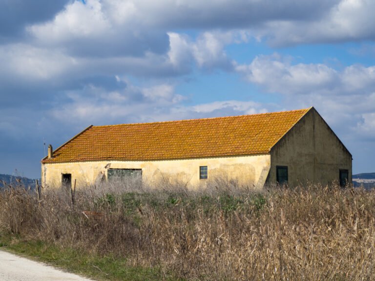 Nettoyage Toiture Châteauneuf-sur-Loire Redonnez Éclat et Longévité à Votre Toit