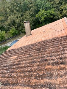 Nettoyage mousse toiture à Sablé-sur-Sarthe