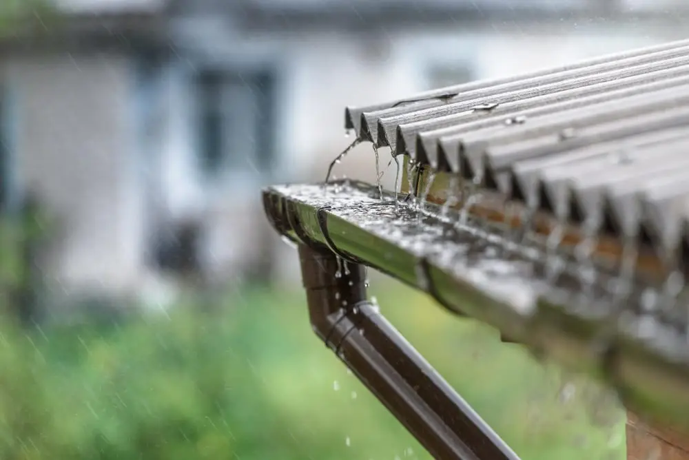 entretien préventif gouttières préparation hiver