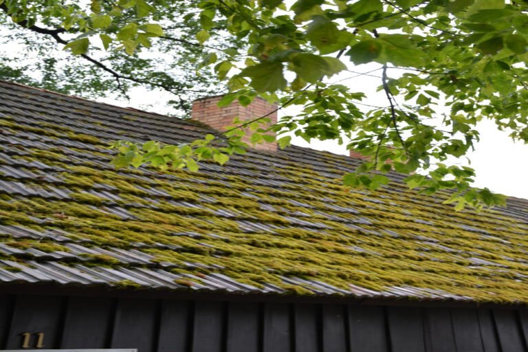 Solution Efficace de Traitement Anti-Mousse Toiture à Le Moulinet-sur-Solin