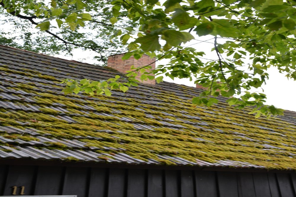 Solution Efficace de Traitement Anti-Mousse Toiture à Le Moulinet-sur-Solin