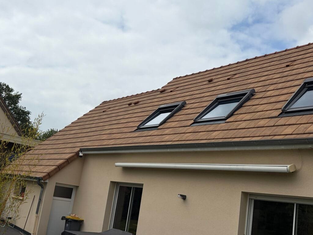 Toiture Nettoyage ou Remplacement