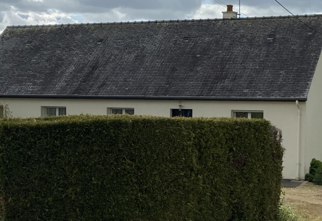 Traitement Anti-Mousse Toiture Professionnel à Ouzouer-des-Champs Efficacité Garantie