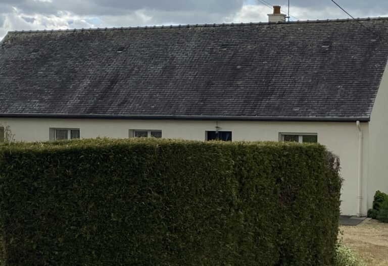 Traitement Anti-Mousse Toiture Professionnel à Ouzouer-des-Champs Efficacité Garantie