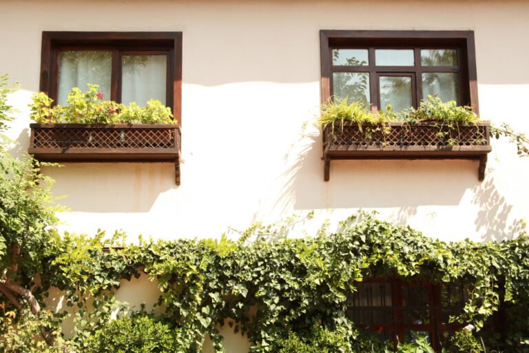 Traitement façade efficace contre les salissures à Meslay Solutions Durables