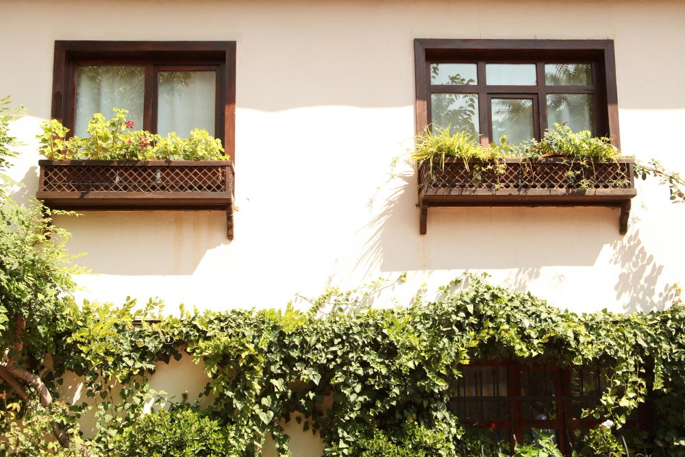 Traitement façade efficace contre les salissures à Meslay Solutions Durables