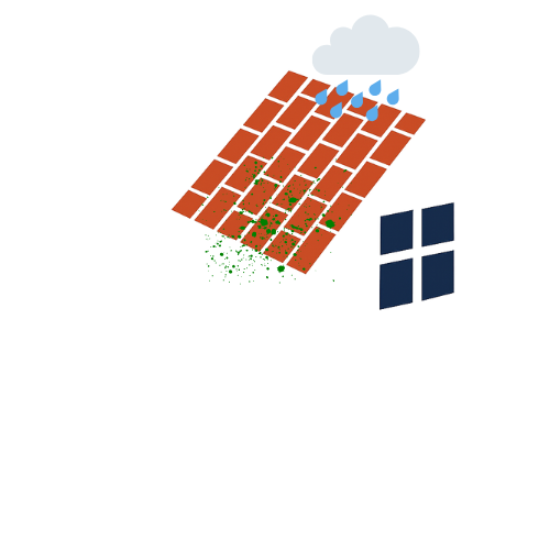 Élimination mousses pluie