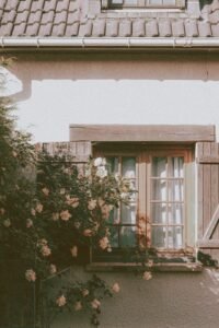soins-naturels-pour-facade-villaines-la-juhel