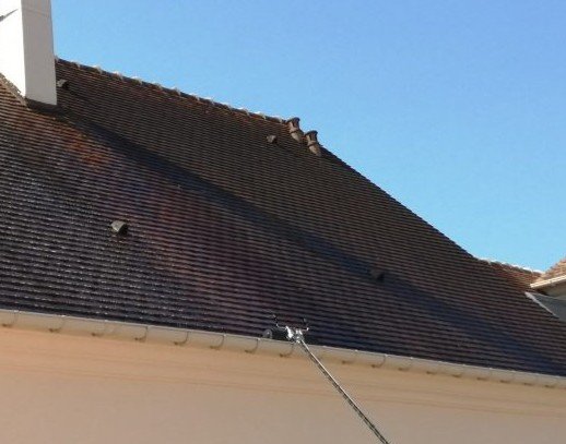 toiture-envahie-par-la-mousse-argentre