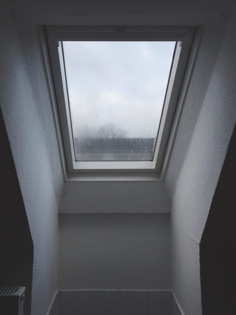 Velux se salissent trop vite