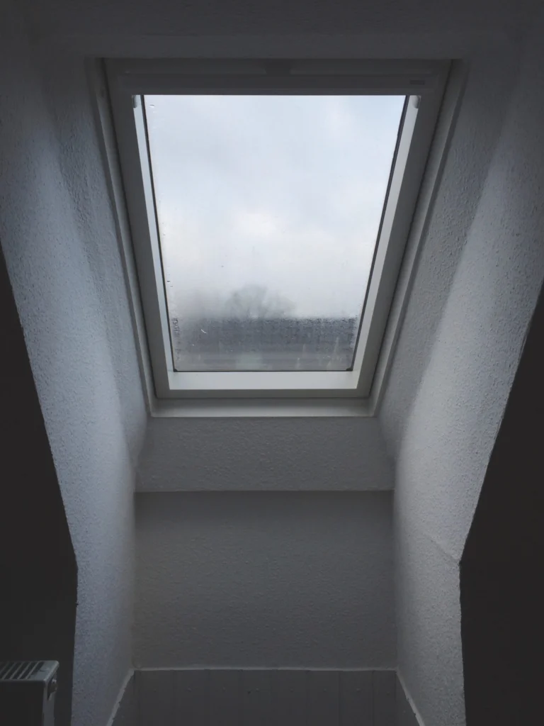 Velux se salissent trop vite