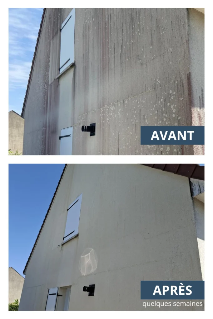 Avant Après découvrez la puissance d’un traitement longue durée