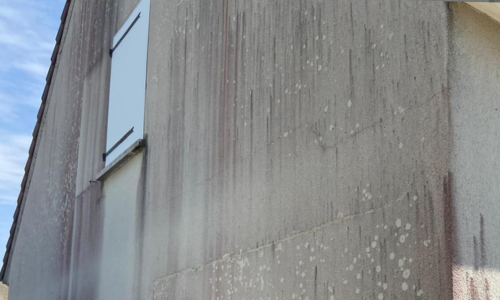 Façades de maisons individuelles envahie par un champignon