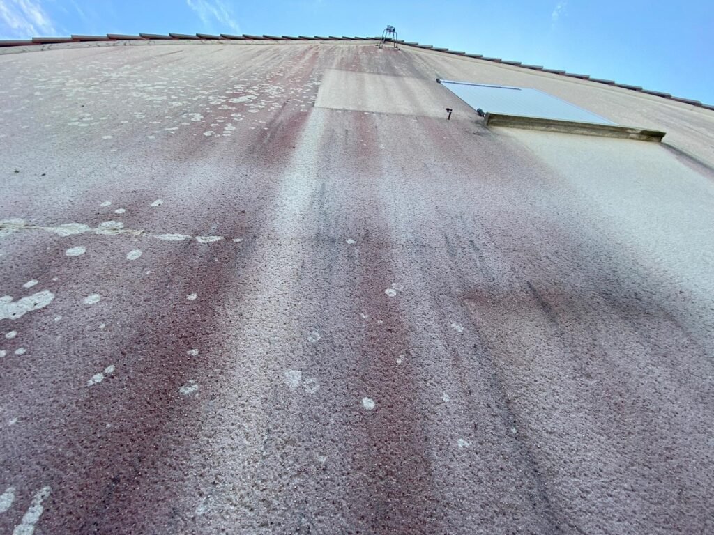 Qu’est-ce que les champignons rouges sur une façade