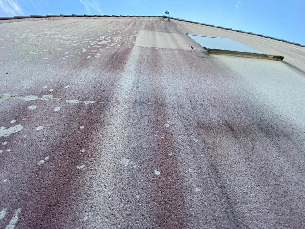 Qu’est-ce que les champignons rouges sur une façade