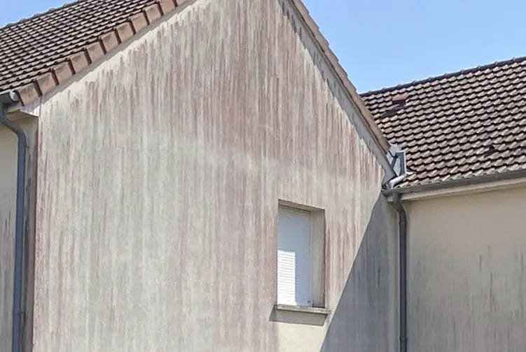 Taches rouges, algues rouges ou traces rosées sur une façade