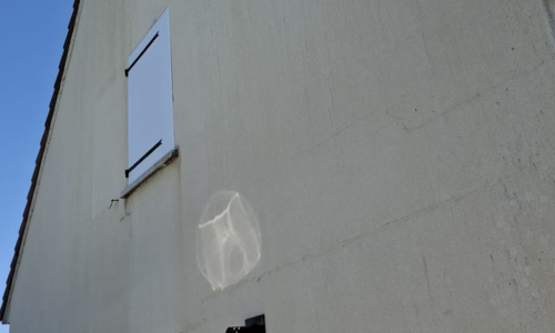 avant après champignon façade