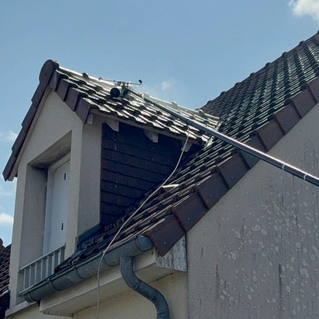 démoussage toiture