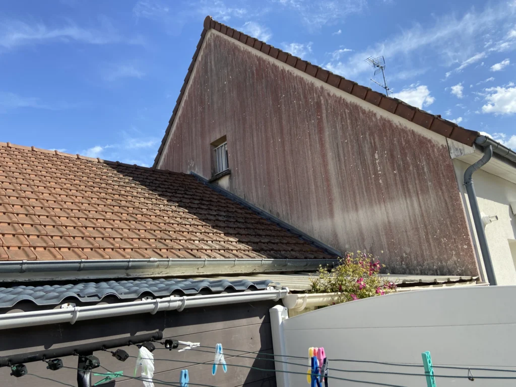 micro-organismes rouges qui apparaissent sur les façades