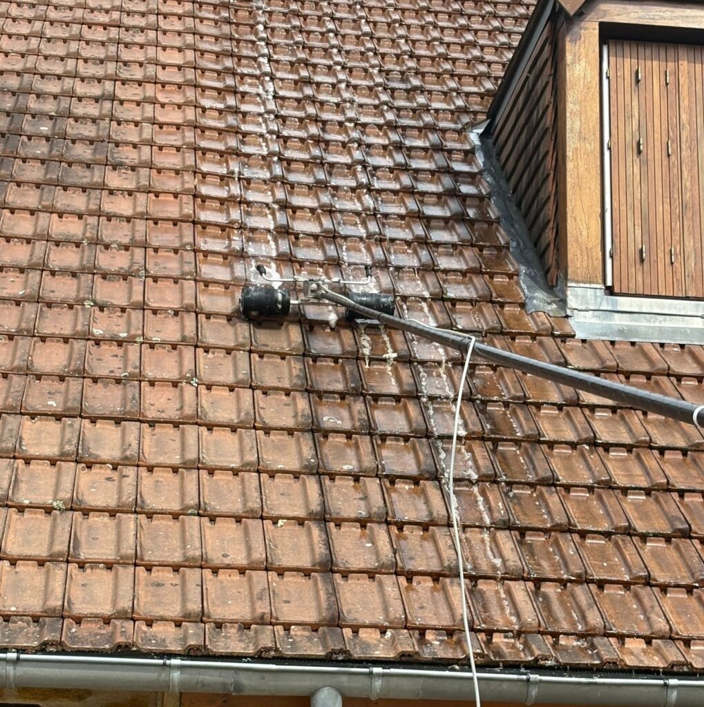 services de nettoyage et démoussage de toiture