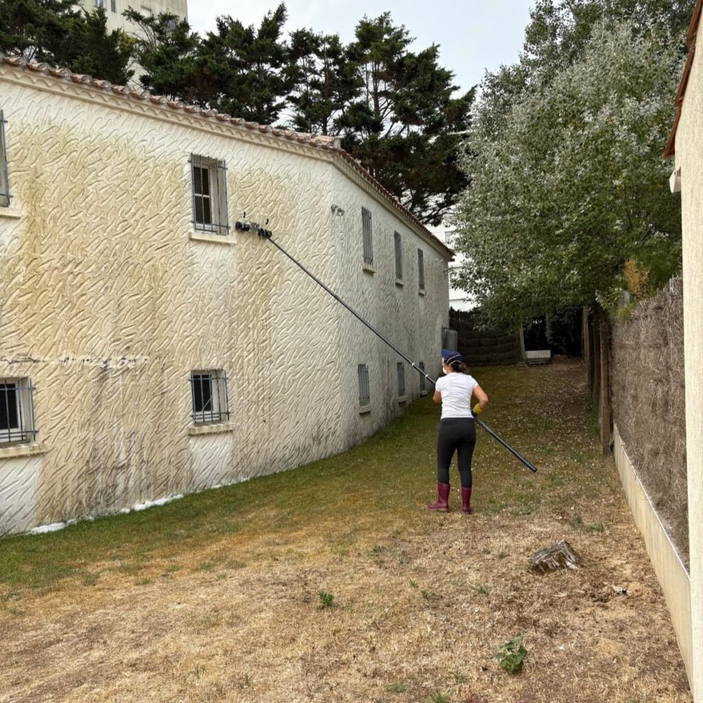 tarif démoussage façade