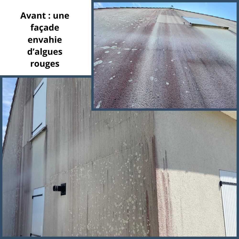 Avant applicationa anti-mousse