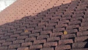 Nettoyage de tuiles béton Redland