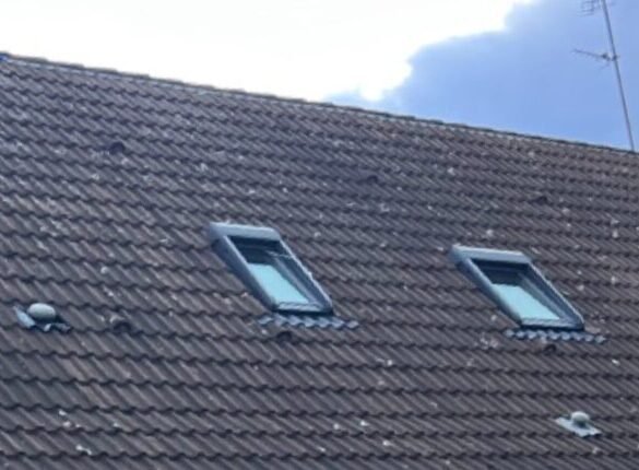 Nettoyage des tuiles béton Redland​