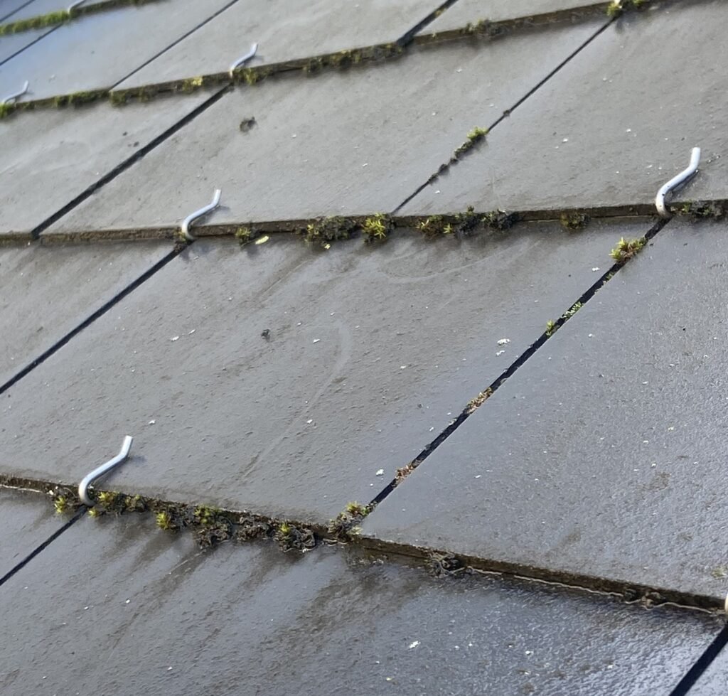 Quelles méthodes pour le nettoyage d’un toit en ardoise