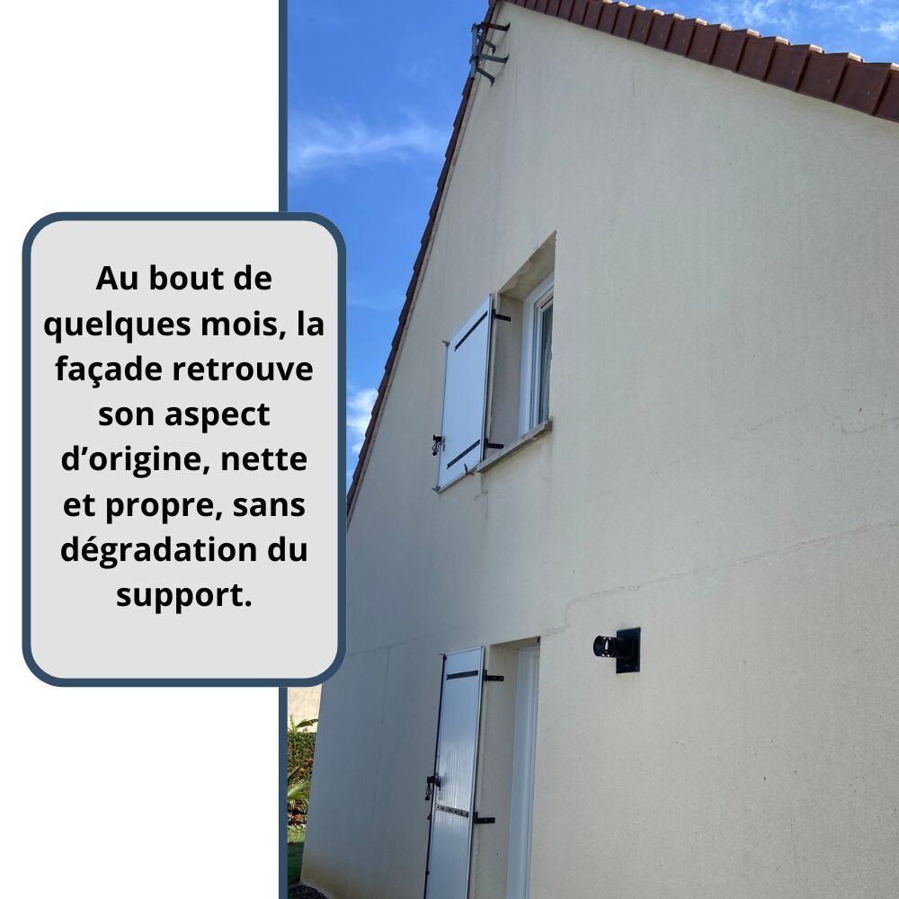 après le traitement anti-mousse