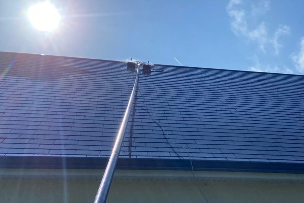 Démoussage à la perche