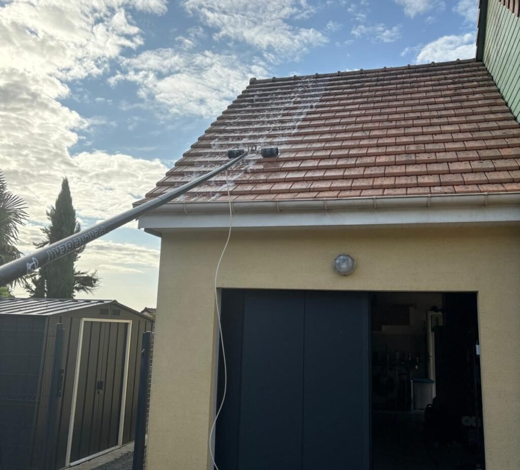 démoussage sans monter sur le toit à Le Mans