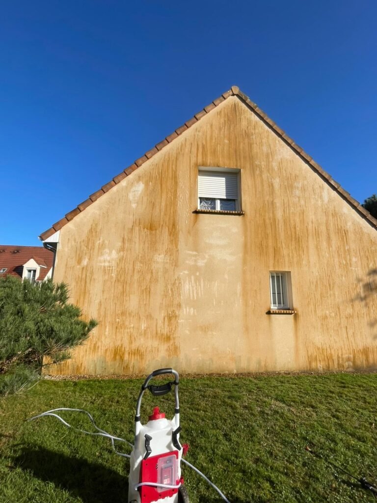 Nettoyage de la façade produit sans chlore et traitement biocide​