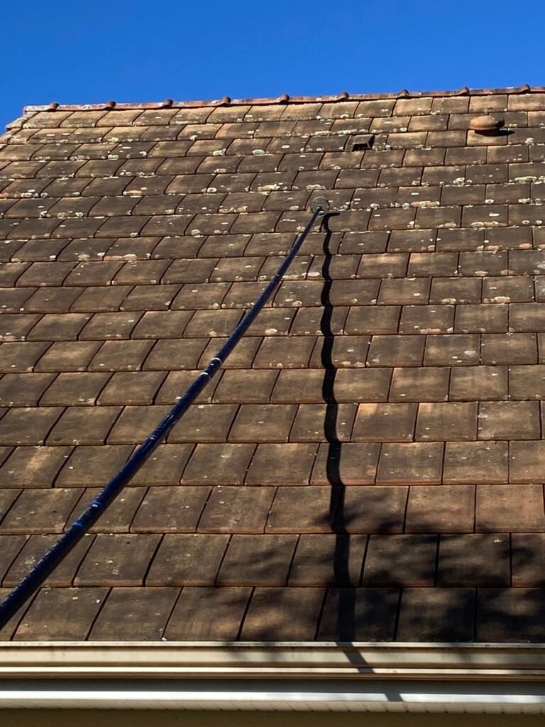 Pourquoi les lichens crustacés sont difficiles à enlever