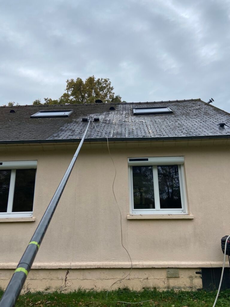 nettoyage et démoussage de toiture
